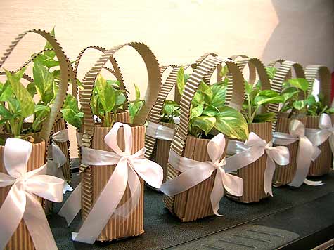 Sapling as Eco-Friendly Return Gifts 